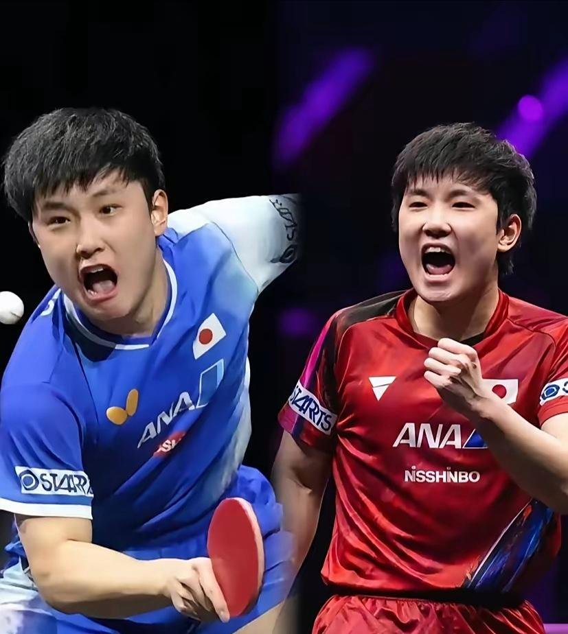 爱游戏大厅-奥地利队轻取波兰队，张本智和刷新纪录